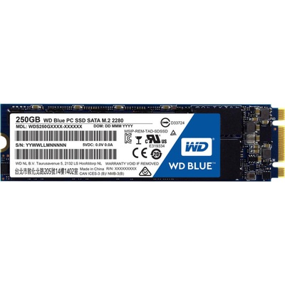 Накопитель SSD M.2 2280 250GB Western Digital (WDS250G1B0B)