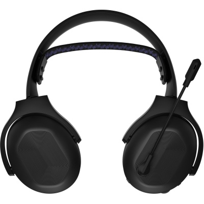 Навушники Lenovo Legion H410 Wireless Gaming Headset Black (GXD1R34013)