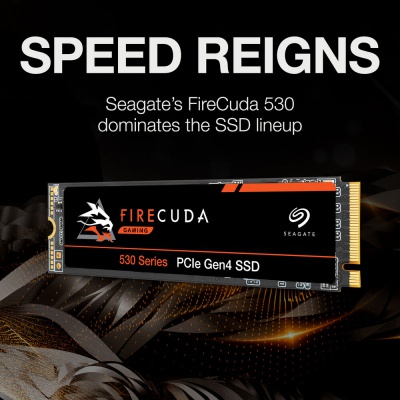 Накопитель SSD M.2 2280 1TB FireCuda 530 Seagate (ZP1000GM3A013)