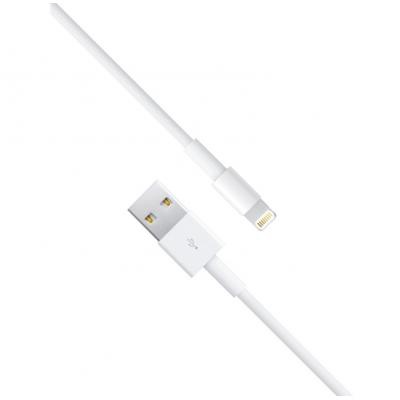 Дата кабель USB 2.0 AM to Lightning 1.0m Florence (DC10-IPH6)