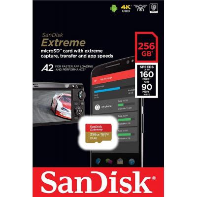 Карта памяти SanDisk 256GB microSD class 10 UHS-I U3 V30 Extreme (SDSQXA1-256G-GN6MN)