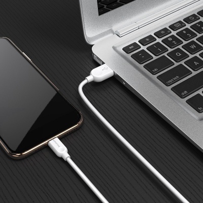 Дата кабель USB 2.0 AM to Lightning 1.0m 2.4A white BOROFONE (6957531089971)