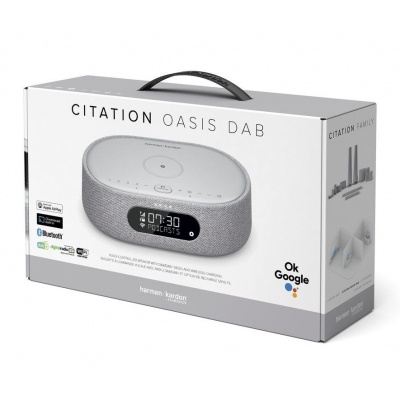 Акустическая система Harman Kardon Citation Oasis Grey (HKCITAOASISGRYEU)