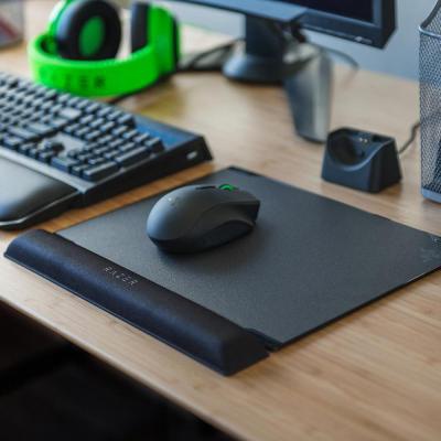 Коврик для мышки Razer Vespula V2 (RZ02-02180100-R3M1)