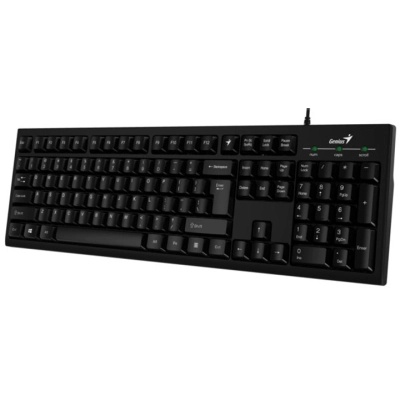 Клавіатура Genius Smart KB-100 USB UA Black (31300005410)