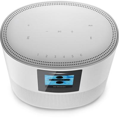 Акустическая система Bose Home Speaker 500 Silver (795345-2300)