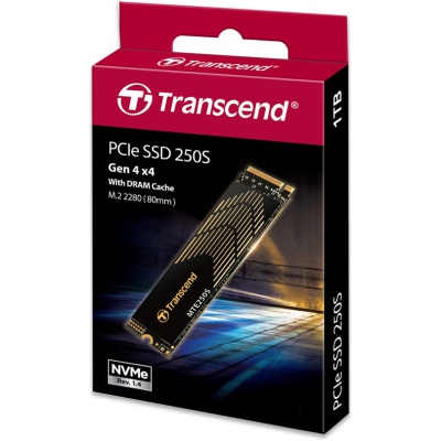Накопичувач SSD M.2 2280 4TB Transcend (TS4TMTE250S)