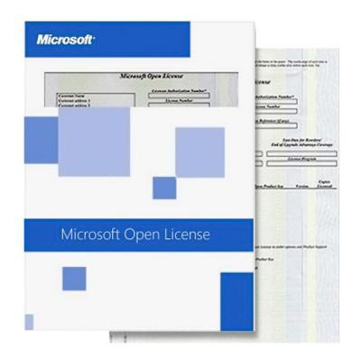 Программная продукция Microsoft O365XtraFileStrgOpn ShrdSvr SNGL SubsVL OLP NL Annual AddOn (5A5-00003)