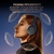Навушники Fifine X3 Wireless Black (X3)