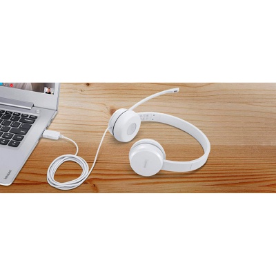 Наушники Lenovo 110 Stereo USB Headset (GXD1B67867)