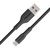 Дата кабель USB 2.0 AM to Type-C xcord-ac.black Promate (xcord-ac.black)