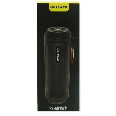 Акустическая система Greenwave PS-601WP black (R0015299)