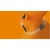 Навушники Philips TAA3206 In-ear IP57 Wireless Mic (TAA3206BK/00)
