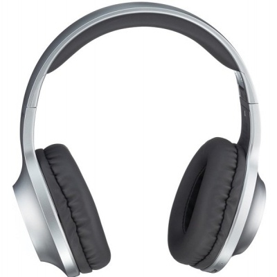 Навушники Panasonic RB-HX220BEE-S Gray (RB-HX220BEE-S)