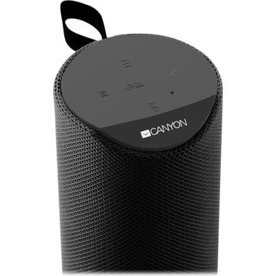 Акустическая система Canyon Portable Bluetooth Speaker Black (CNS-CBTSP5B)