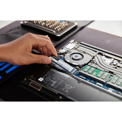 Накопитель SSD M.2 2280 250GB Kingston (SNVS/250G)