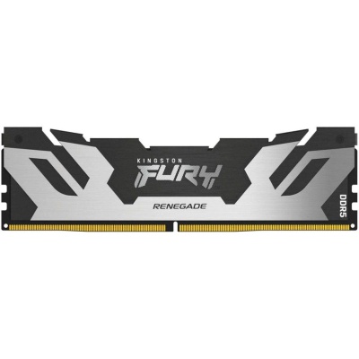 Модуль пам'яті для комп'ютера DDR5 16GB 6000 MHz Renegade Silver Kingston Fury (ex.HyperX) (KF560C32RS-16)