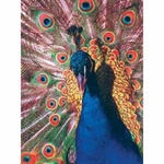 Коврик GEMBIRD MP-PICTURE/400