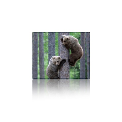 Килимок для мишки Voltronic Two Bears (YT-CAT11)