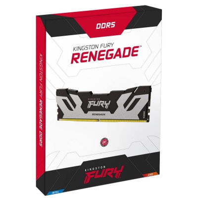 Модуль пам'яті для комп'ютера DDR5 16GB 6400 MHz FURY Renegade Silver Kingston Fury (ex.HyperX) (KF564C32RS-16)