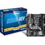 Материнская плата ASRock B250M-HDV