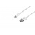 Дата кабель USB 2.0 AM to Lightning 1.0m 2.4A white 2E (2E-CCLAB-WT)