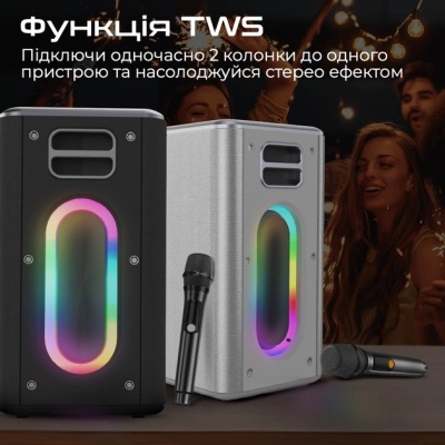Акустична система HiFuture MusicBox 100W Silver (musicbox.silver)