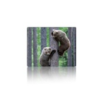 Килимок для мишки Voltronic Two Bears (YT-CAT11)