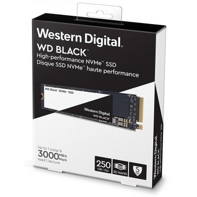 Накопитель SSD M.2 2280 250GB Western Digital (WDS250G2X0C)