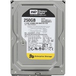 Жесткий диск 3.5'  250Gb Western Digital (WD2503ABYZ)