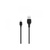 Дата кабель USB 2.0 AM to Lightning 1.0m 2.1A black XO (NB36-L-1-BK)