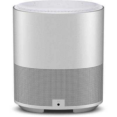 Акустическая система Bose Home Speaker 500 Silver (795345-2300)