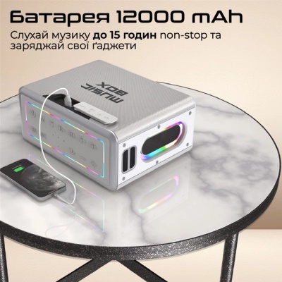 Акустична система HiFuture MusicBox 100W Silver (musicbox.silver)