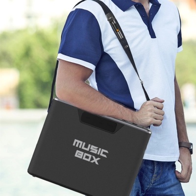 Акустична система HiFuture MusicBox 100W Silver (musicbox.silver)