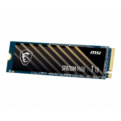 Накопитель SSD M.2 2280 500GB SPATIUM M450 MSI (S78-440K090-P83)