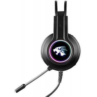 Наушники Varr VH8030 Headset USB 2 х 3.5 mic RGB Black (VH8030)