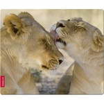 Коврик Speedlink SILK Mousepad, Lion (SL-6242-LION)