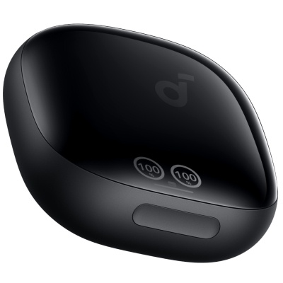 Навушники Anker SoundCore Liberty 4 Pro Black Matte (A3954G11)