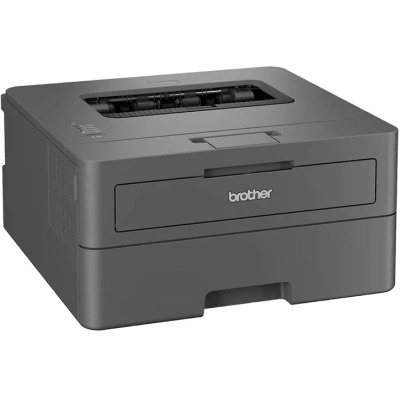 Лазерний принтер Brother HL-L2402DYJ1 (HLL2402DYJ1)