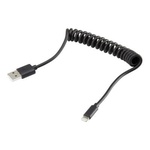 Дата кабель USB 2.0 AM to Lightning Spring 1m black Vinga (VCPDCLS1BK)