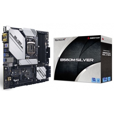 Материнська плата Biostar B560M-SILVER