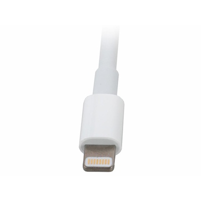 Переходник Apple Lightning to VGA (MD825ZM/A)