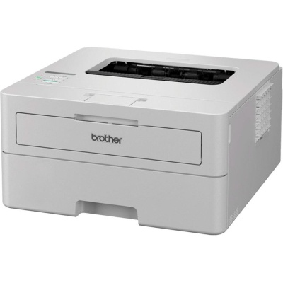 Лазерний принтер Brother HLB2180DWYJ1
