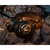 Навушники SteelSeries Arctis Nova 7 World of Warcraft Edition (61558)