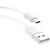 Дата кабель USB 2.0 AM to Type-C 0.3m White T-Phox (T-C801(0.3) White)
