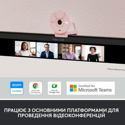 Веб-камера Logitech Brio 300 FHD Rose (960-001448)