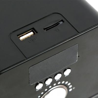 Акустическая система OMEGA OG-21U black SD/USB reader (OG21USDB)