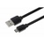 Дата кабель USB 2.0 AM to Type-C 1.0m Flat Single Molding Type, Black 2E (2E-CCTPVC-1MBL)