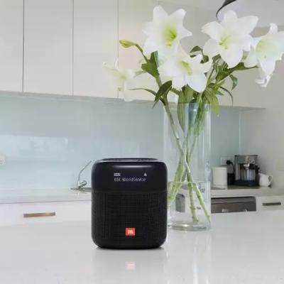 Акустична система JBL Tuner XL Black (JBLTUNERXLBLKEU)